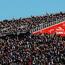 COTA kalabalığı inanılmaz bir atmosfer getiriyor