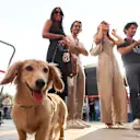 Leo açılarını biliyor!