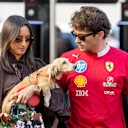 Leo, Leclerc-Saint Mleux ailesinin merkezi!